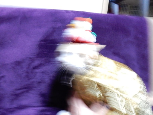 kuu.jpg