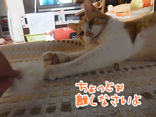 kuu.jpg