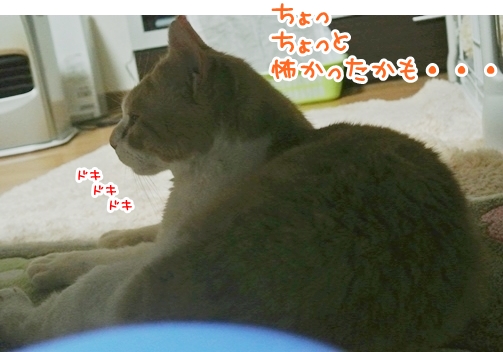 kuu.jpg