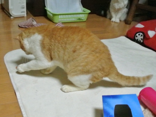 kuu.jpg