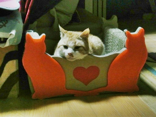kuu.jpg
