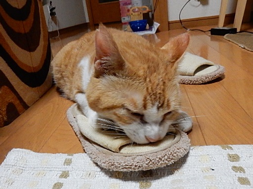 kuu.jpg