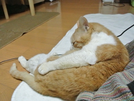 kuu.jpg