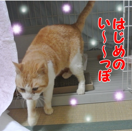 kuu.jpg