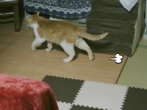 kuu10.jpg
