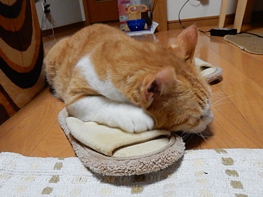 kuu2.jpg
