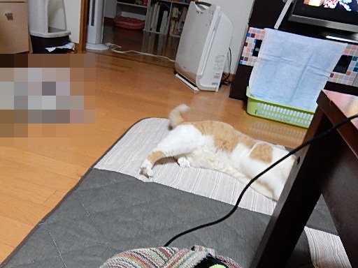 kuu2.jpg