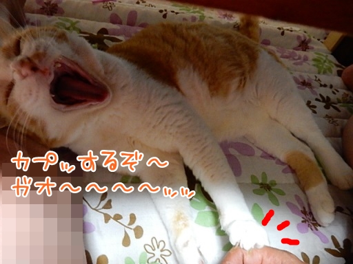 kuu2.jpg