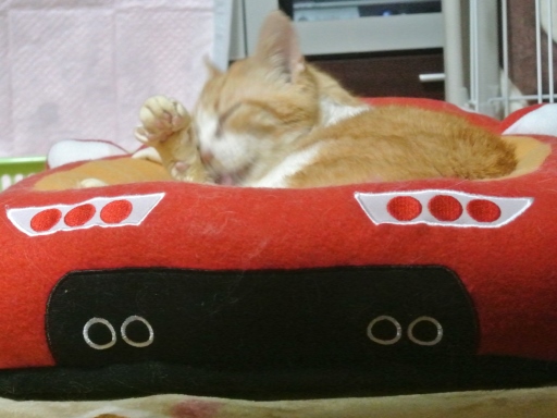 kuu2.jpg