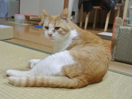 kuu3.jpg