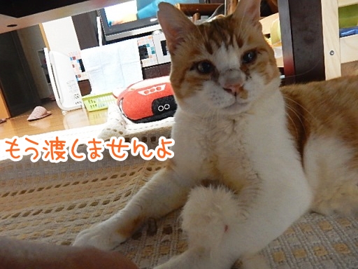 kuu3.jpg