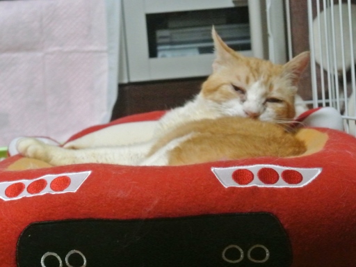 kuu3.jpg