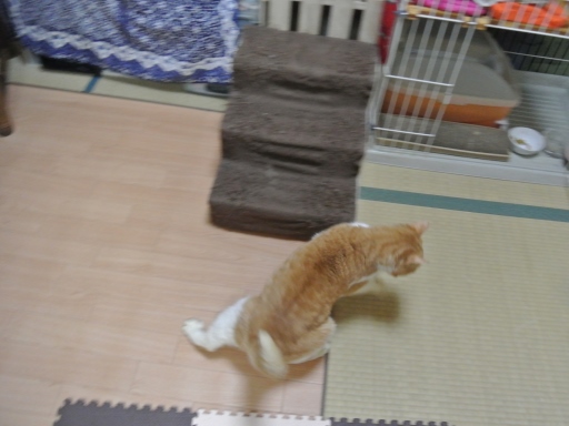 kuu3.jpg