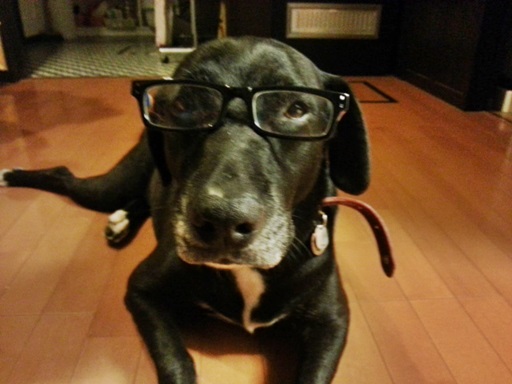 20130801_201013.jpg
