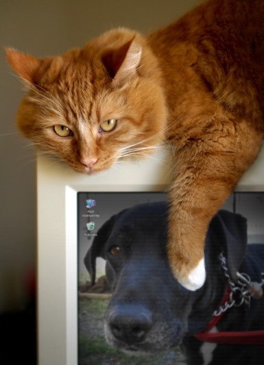 PhotoFunia-2d7c057.jpg