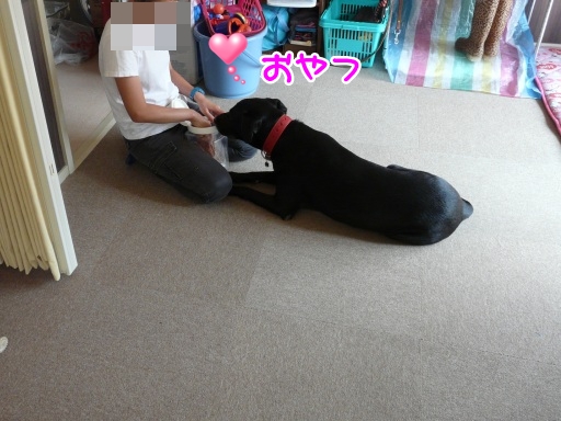 mili.jpg