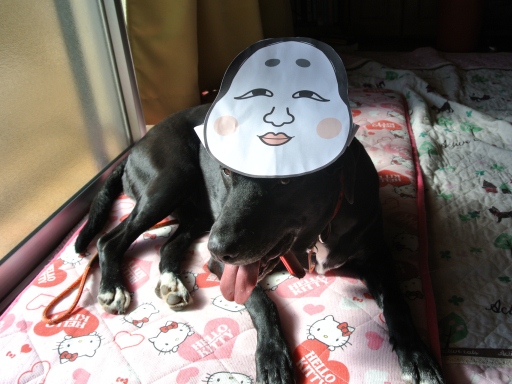 mili.jpg