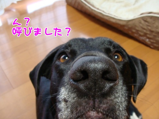 mili.jpg
