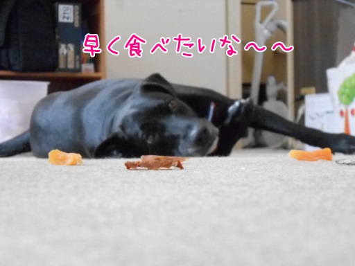 mili.jpg