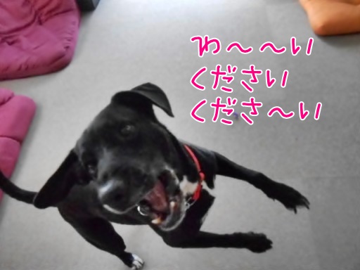 mili.jpg