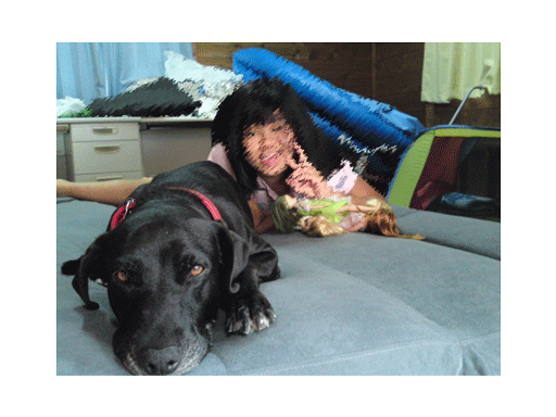 mili.gif