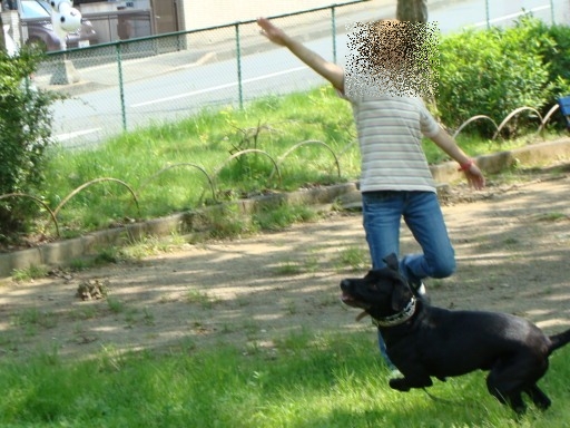 mili2.jpg
