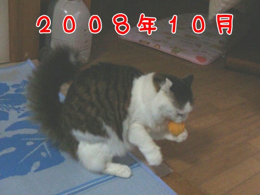 2008.10.jpg