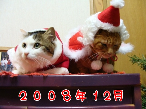 2008.12.jpg