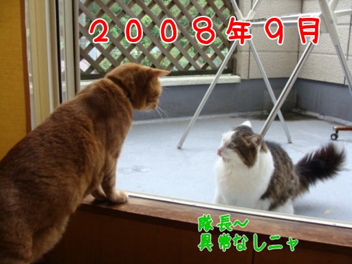 2008.9.jpg