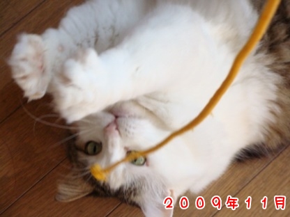 2009.11.jpg