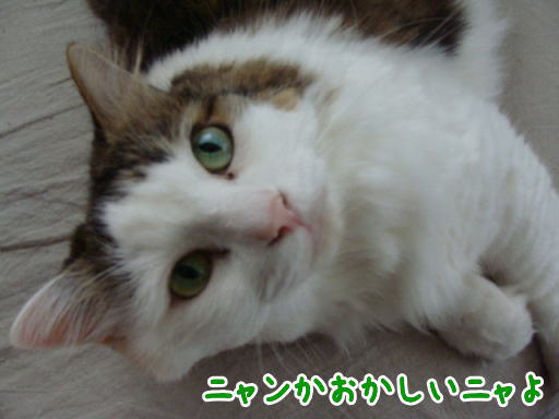 2010.8.jpg