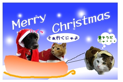 2017.12.jpg
