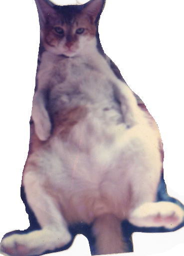 shogoro.jpg